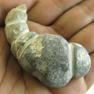 Puspo Bliring Snake Horn - Type D16