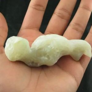 Fossilised Turmeric - Type A3 (White)