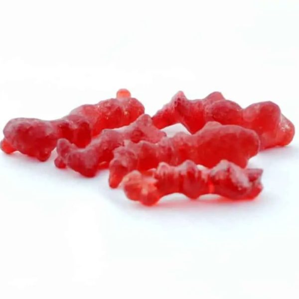 Fossilized Grantang Merah – Type A