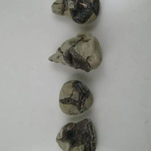 Gung Bee Honey Fossil Stones – Type A1
