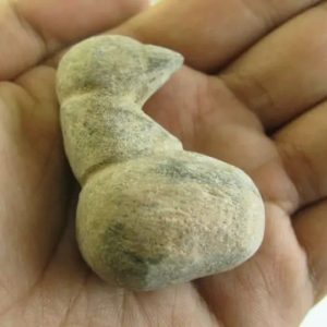 Puspo Bliring Snake Horn - Type D14
