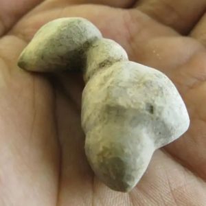 Puspo Bliring Snake Horn - Type D5