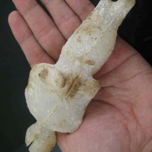 Shaman Fossil - BK 10