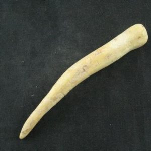 White Tiger Horns - Type F4