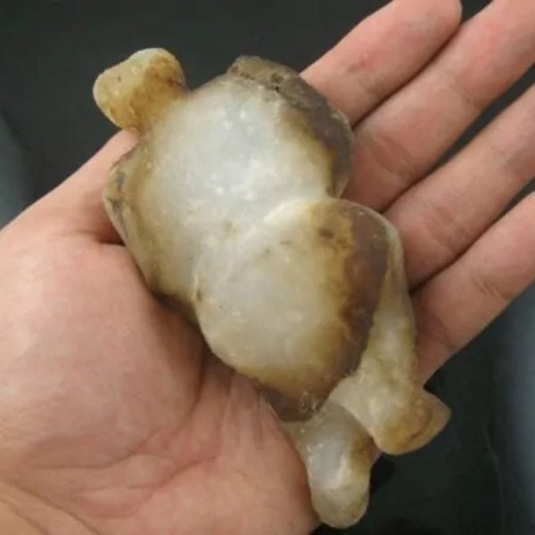 Shaman Fossil - BK 5 - Image 2