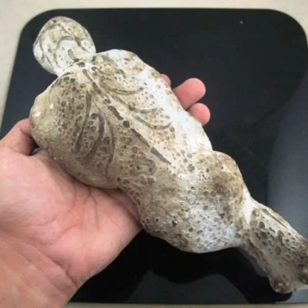 Shaman Fossil - BK 46---SOLD - Image 2