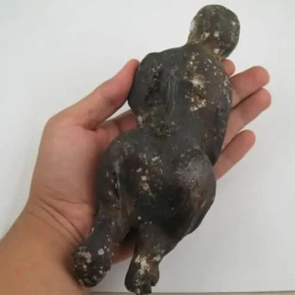 Shaman Fossil - BK 33---SOLD - Image 2