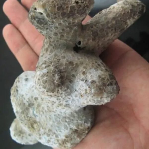 Shaman Fossil - BK 18 - Image 2