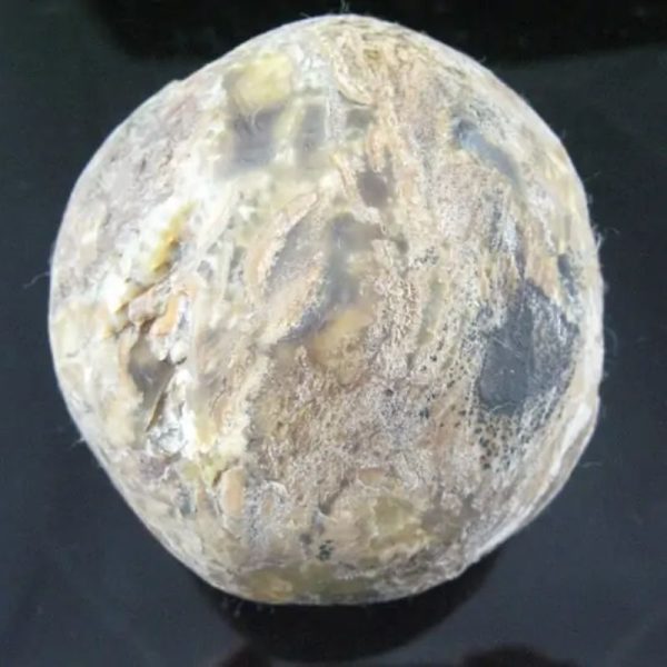 Kelud Mountain Pearl - Type D2 - Image 2