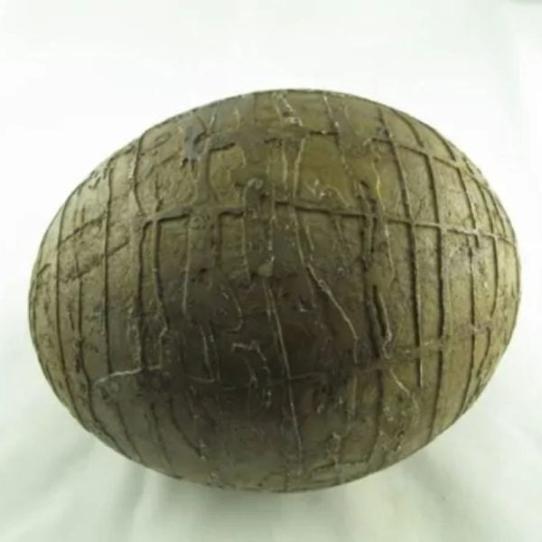 Mountain Belt Pearl - Type A1.4 (Egg Shape) - Image 2