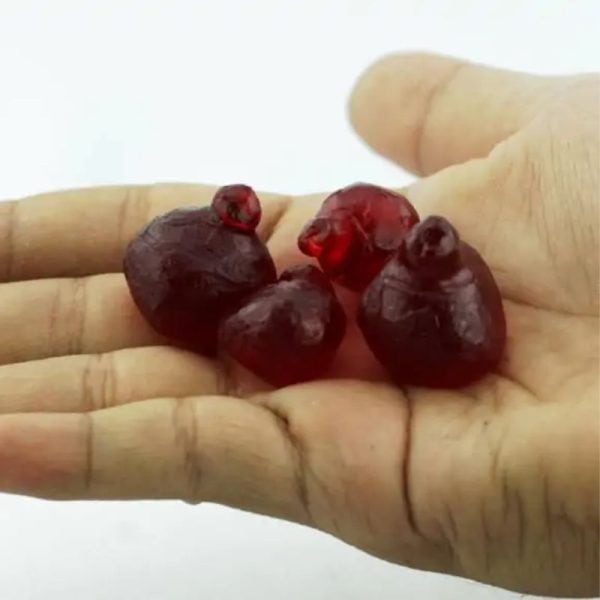 Cobra Heart Fossil - Type A1 - Image 2