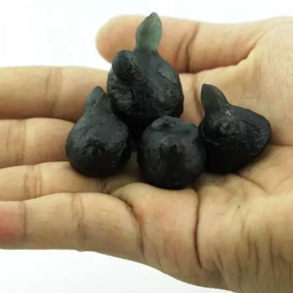 Cobra Heart Fossil - Type A3 - Image 2