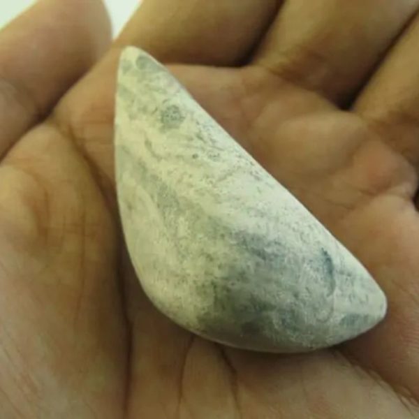 Snake Heart Fossil Type - E3 - Image 2