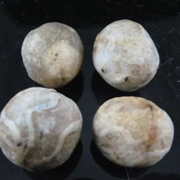 Gaharu/Agarwood Pearl - Type A1 - Image 2