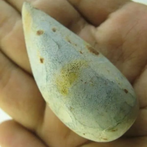 Snake Heart Fossil Type - G5 - Image 2