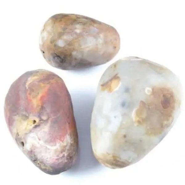 Gaharu/Agarwood Pearl - Type B1 - Image 2