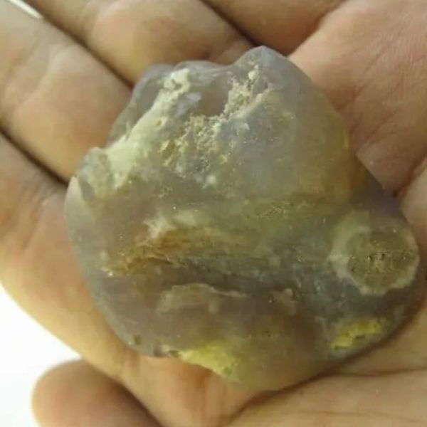 Snake Heart Fossil Type - K2 - Image 2