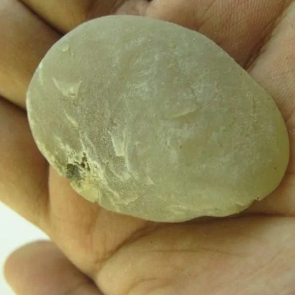 Snake Heart Fossil Type - K1 - Image 2