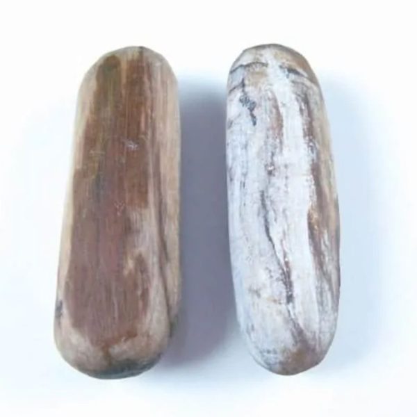 Gaharu/Agarwood Pearl - Type D1 - Image 2