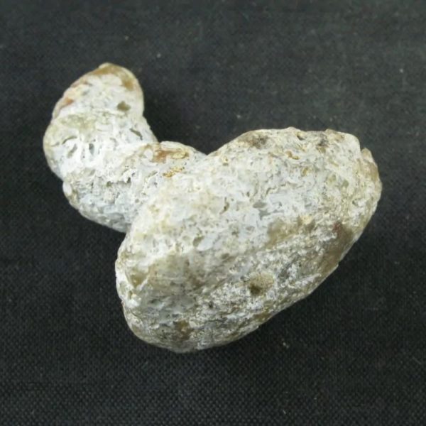 Dragon Horn Fossils (Siluman) - Type E6 - Image 2