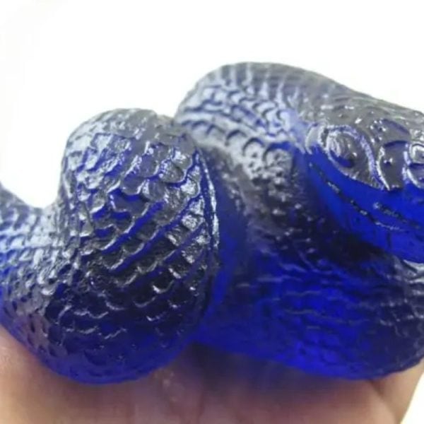 Snake Fossil - SF 62 (Crystal) - Image 5