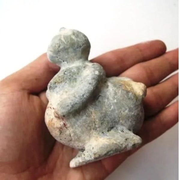 Semar Mesem Fossil - Large C1 - Image 2