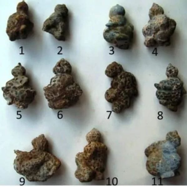 Semar Mesem Fossil - B Medium - Image 2