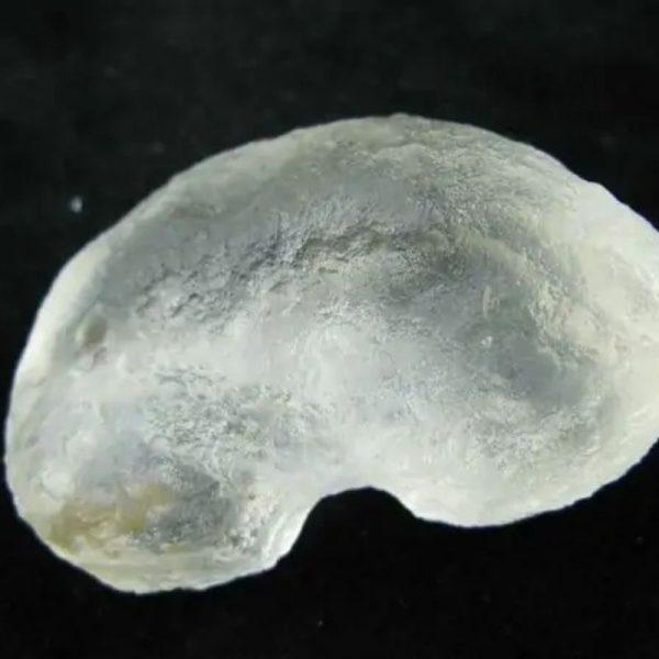 Large Dew Pearl - Type F - Image 2