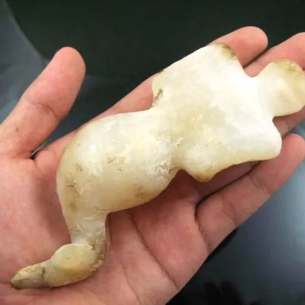 Mermaid Fossil - MF 7 - Image 2