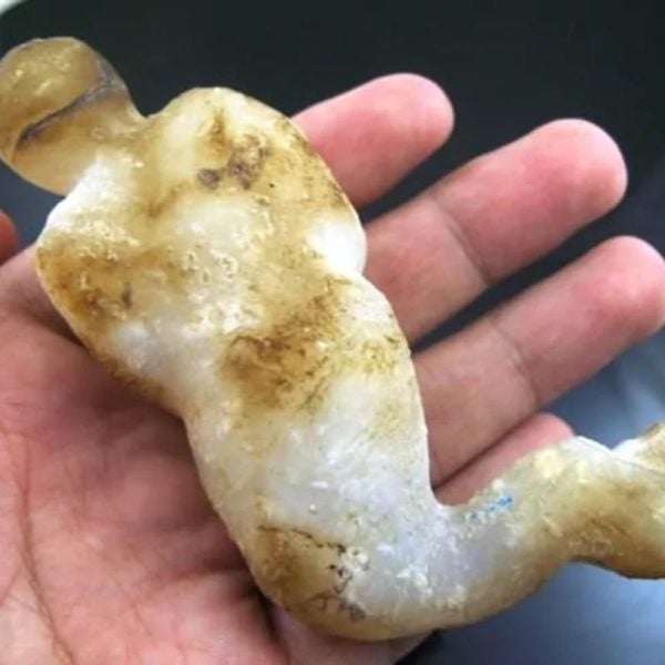 Mermaid Fossil - MF 2 - Image 2