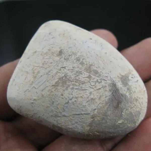 Thunderbolt Pearl - Type A8 - Image 2