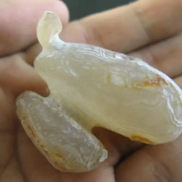 Javanese Fossilized Treasure Vase - Type B4 - Image 2