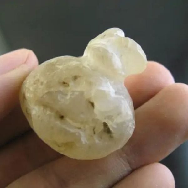 Javanese Fossilized Treasure Vase - Type B2 - Image 2