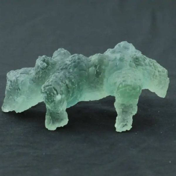 Fossilized Lizard Biawak Siluman - Type A1 - Image 2