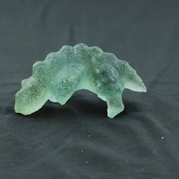 Fossilized Lizard Biawak Siluman - Type A4 - Image 2