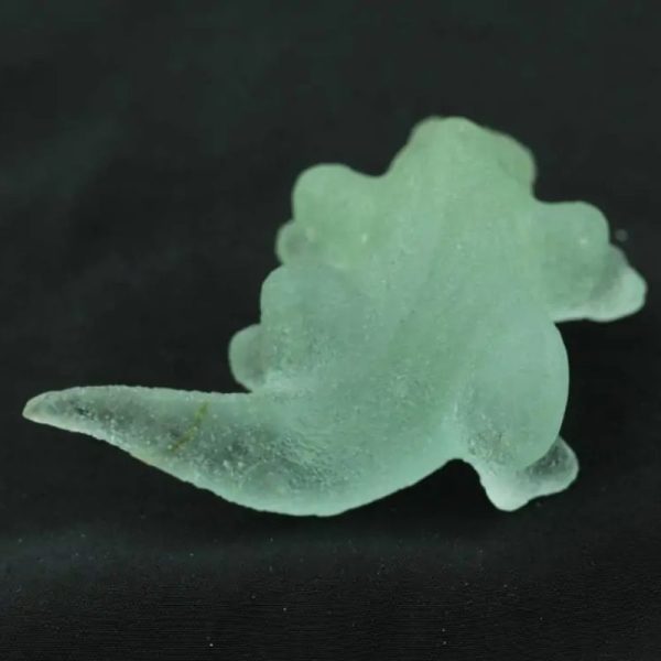 Fossilized Lizard Siluman - Type A1 - Image 2