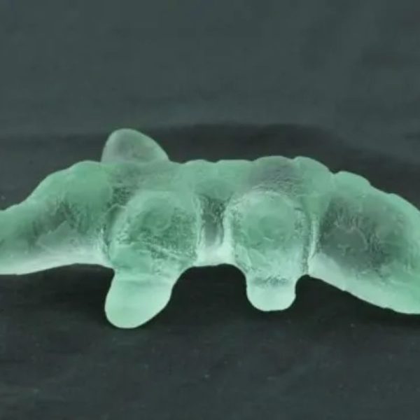 Fossilized Lizard Siluman - Type A3 - Image 2
