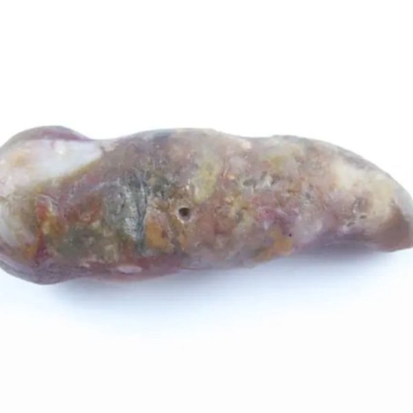 Fossilized Caterpillar - Type A7 - Image 4