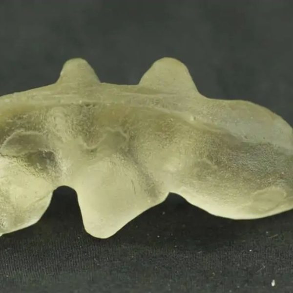 Fossilized Weasel Pearl - Type A8 - Image 3