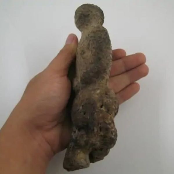 Shaman Fossil - BK 28 - Image 3