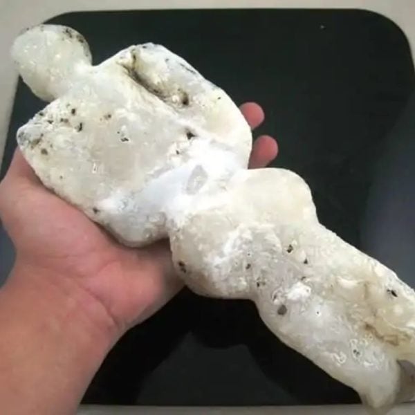Shaman Fossil - BK 47 - Image 3