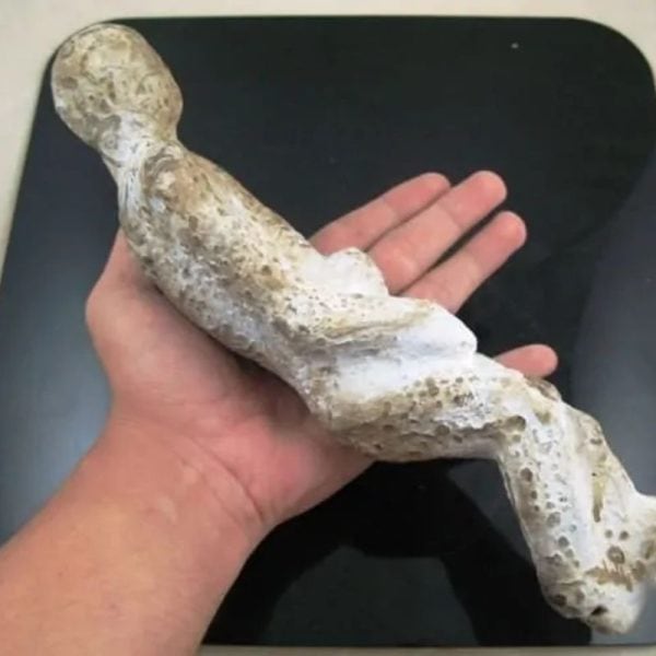 Shaman Fossil - BK 46---SOLD - Image 3
