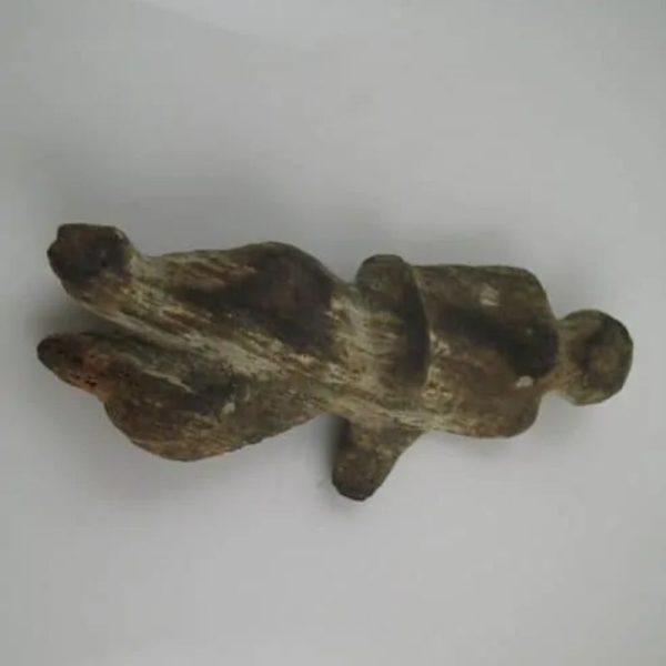 Shaman Fossil - BK 34 - Image 3