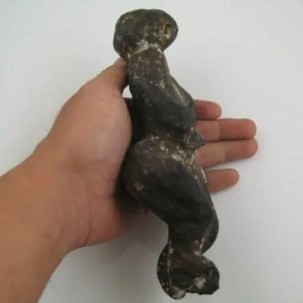 Shaman Fossil - BK 33---SOLD - Image 3