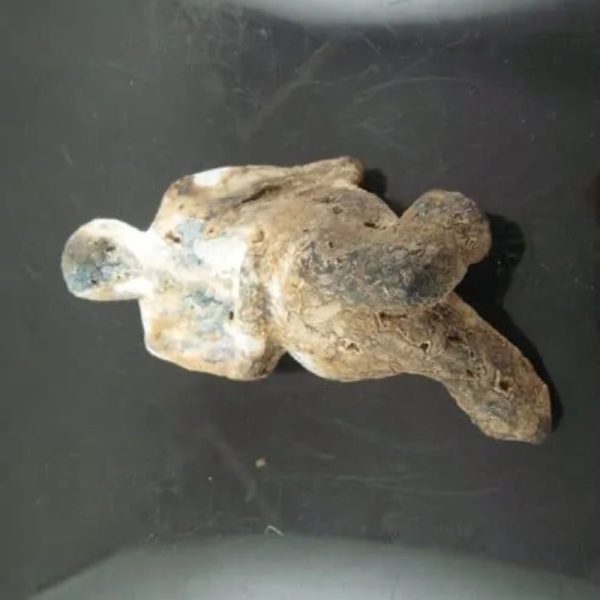 Shaman Fossil - BK 22 - Image 3