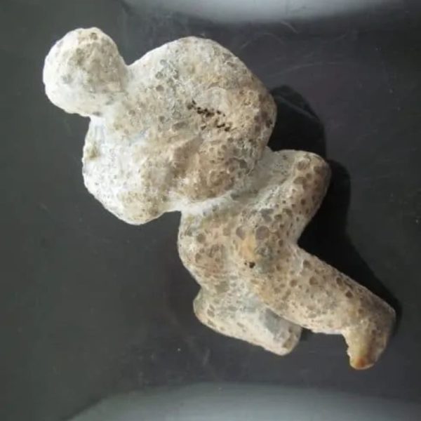 Shaman Fossil - BK 18 - Image 3