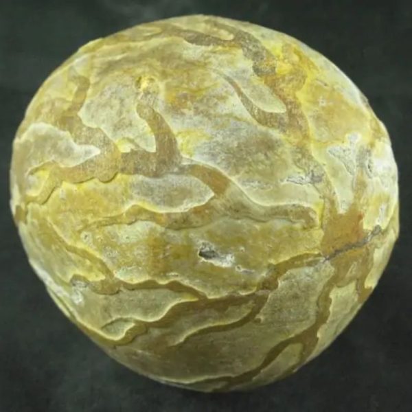 Mountain Pearl - Type B3 (Semeru) - Image 3