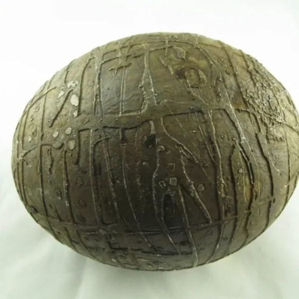 Mountain Belt Pearl - Type A1.4 (Egg Shape) - Image 3