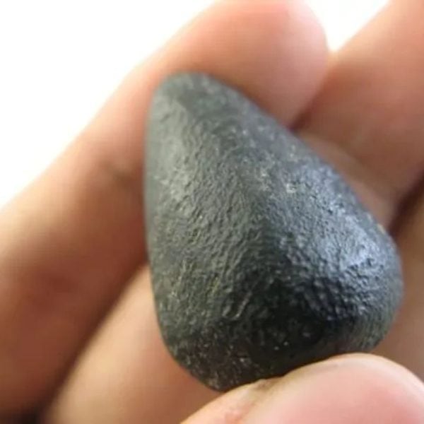 Snake Heart Fossil Type - H2 - Image 3
