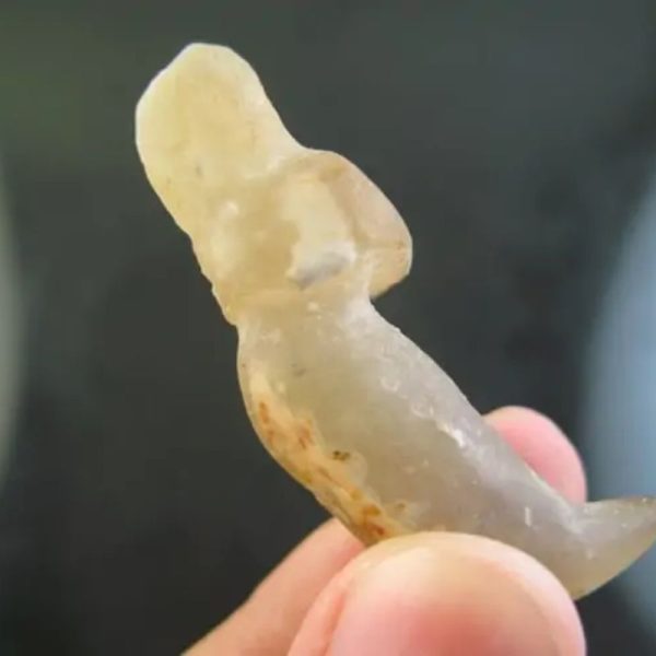 Snake Heart Fossil Type - C9 - Image 3